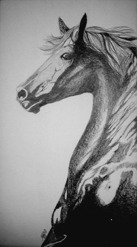 Equine_pencil